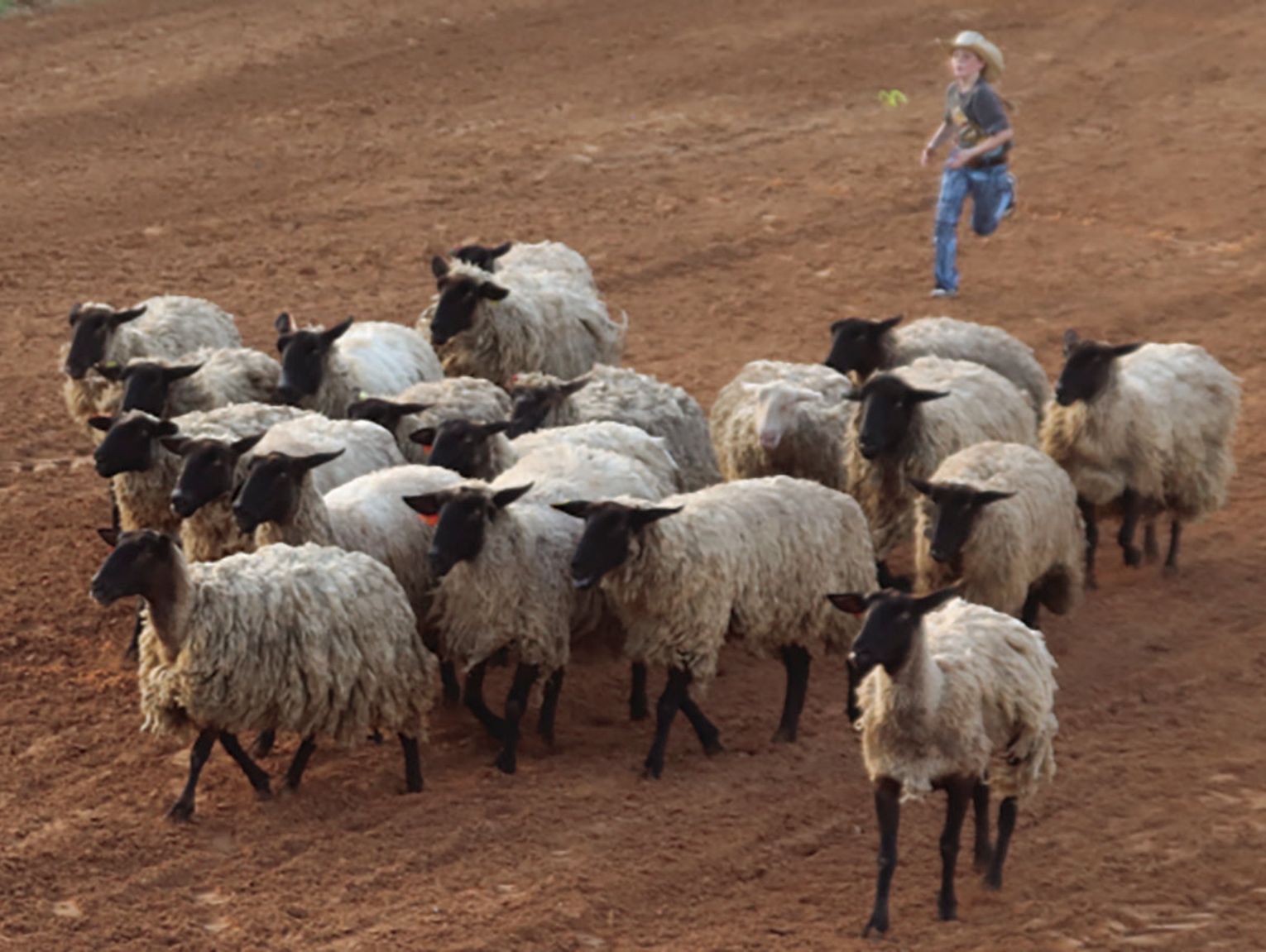 54th Garrison Creek Riders Rodeo set for July 17-18